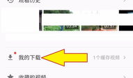 吃瓜爆料短视频大全下载,下载大全带你一网打尽