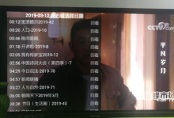 91看电视直播回看,精彩瞬间尽收眼底