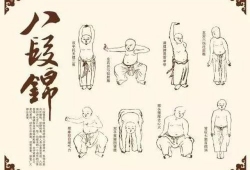 八段锦教学视频完整版,完整版动作解析与养生秘诀