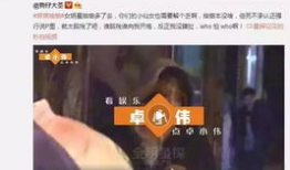 啪啪视频在线观看,揭秘啪啪视频在线观看的精彩瞬间