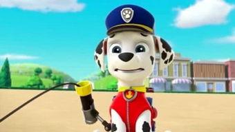 娱乐吃瓜君汪汪